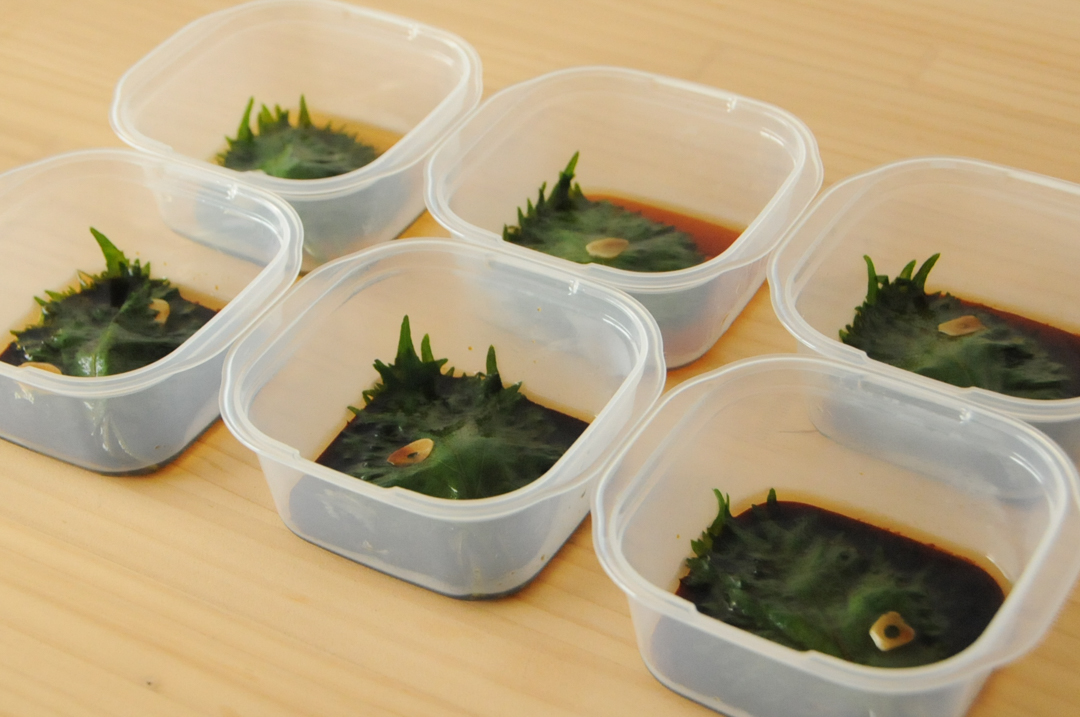 ご飯が止まらない！大葉の醤油漬け