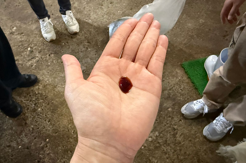 山川醸造見学　その２