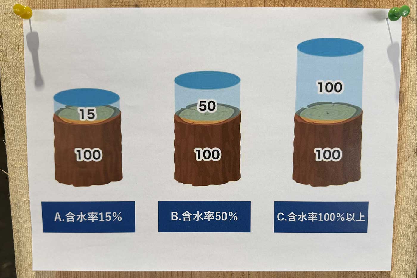 木の水分は、多いと300%を超える